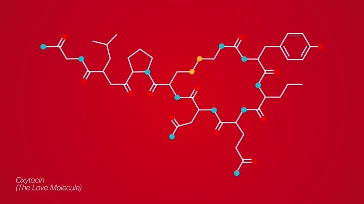 The Chemistry of Sciencе - Вдохновение для великих открытий