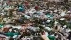 Одна из экологическая катастроф Земли - пластиковые волны 