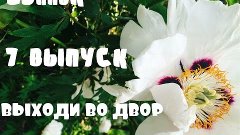 7 ВЫПУСК 50ппвК / БотСад им. Гришко / ВЫХОДИ ВО ДВОР