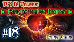 TES IV Oblivion ► Гильдия магов Бравил ► #18