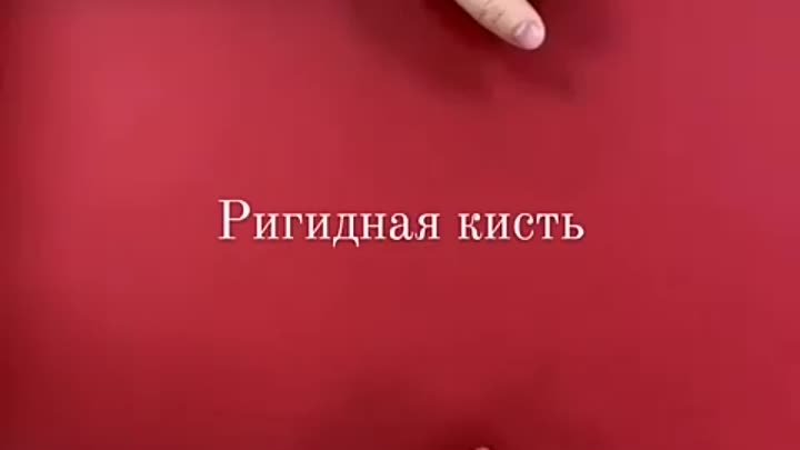 Ригидная кисть