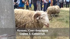 Казань, Нефорум блогеров. Сабантуй