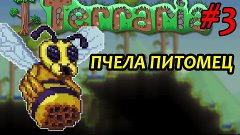 ПЧЕЛА ПИТОМЕЦ - TERRARIA # 3