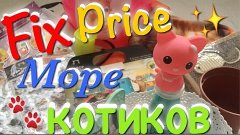 Покупки из магазина FIX PRICE ^ МОРЕ КОТИКОВ + Новенький Экс...
