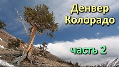 VLOG: Поездка в Денвер (штат Колорадо) - часть 2