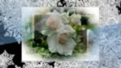 Букет цветов из белых роз. исп Афина и Антон Яковлев.