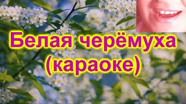 Караоке петь одинокая ветка. Караоке белая черемуха. Ах черёмуха белая караоке. Караоке черёмуха белая журавлёва.