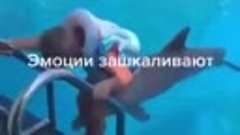 🔵  СУПЕР КЛАССНОЕ ВИДЕО.
Делитесь с друзьями...🐬