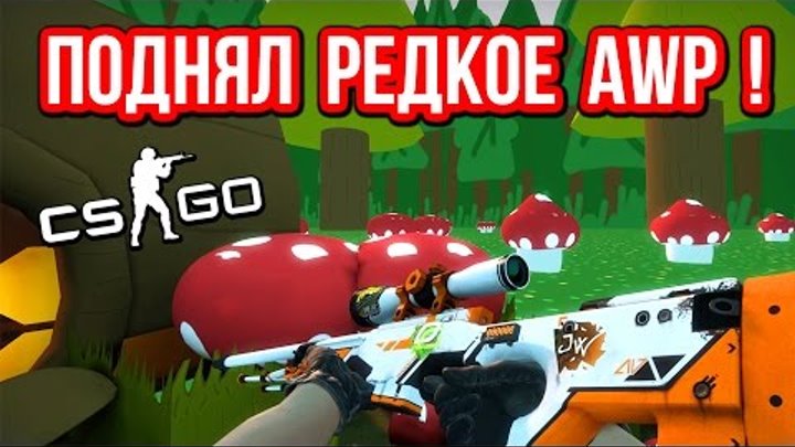 ПОДНЯЛ РЕДКОЕ AWP в CS:GO