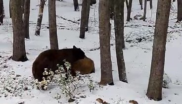 Калифорния  район  озера  Тахо 


