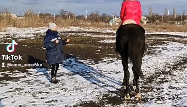 Учим новый элемент😂🐎