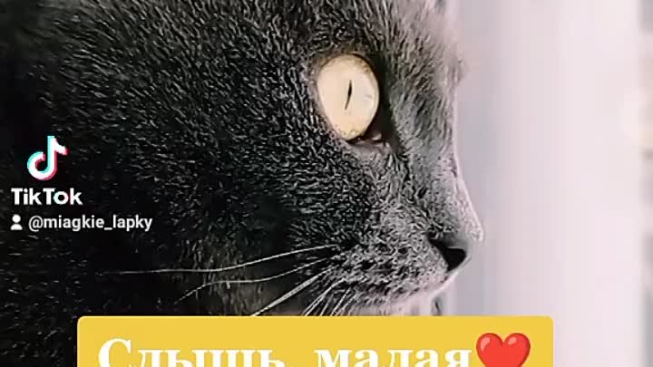 Это любоффф😻