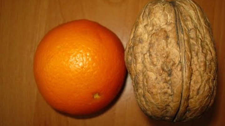 Грецкий орех великан описание сорта фото Грецкий орех великан описание сорта фото