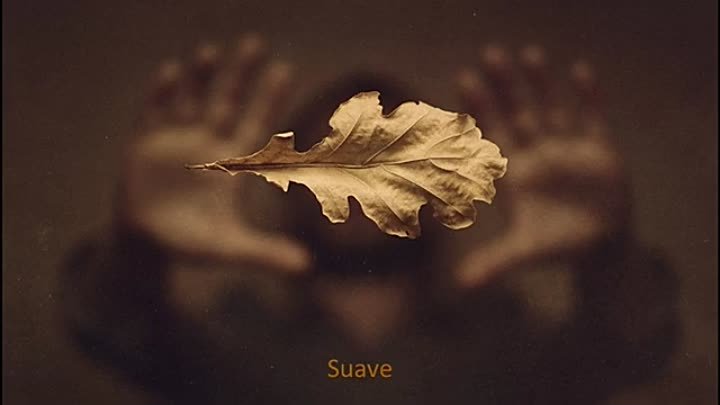 ♚WSELENAIA♚Taras Bazeev - Suave (Original Mix)