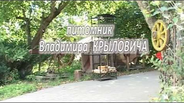 Cаженцы плодово ягодных культур krylovich.by