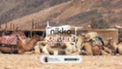 Nikko Culture, Deepest &amp; AMHouse Ft. U.R.A. - Desert Queen