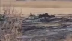 Tancurile rușilor s-au blocat în noroiul din Rostov. „Ocupaț...