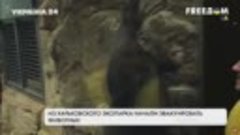Зеленский пропагандирует фашизм даже через зоопарк