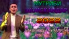 МУТРИБИ-ШОИСКАНДАР***2022 БАХОРАНДЕН МУ ХАМРОЯТ ТУЯТ НЕСТ