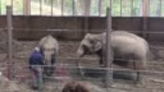 Elephant Show at thr Oregon Zoo