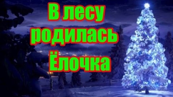 В лесу родилась елочка фото В лесу родилась елочка фото