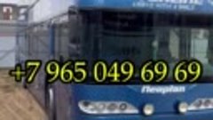 Москва Ташкент автобус +79650496969