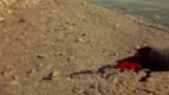 La Masacre De Texas 3 (1990) Brrip.720.lat
