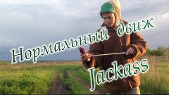 Jackass : нормальный движ , потрепали Женю , и тарелку:3