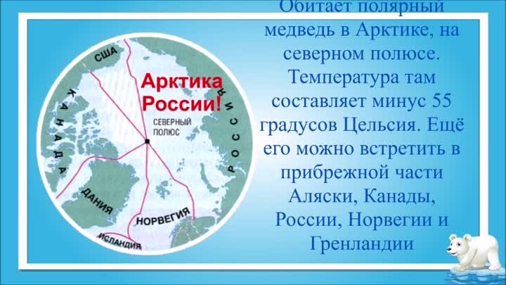 Удивительный хозяин Арктики: видеоролик, посв.Международному дню бел ...