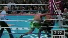 Mike Tyson  vs.  Peter McNeeley   1995-08-19