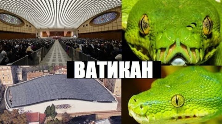 Зал ватикана в форме змеи фото Зал ватикана в форме змеи фото