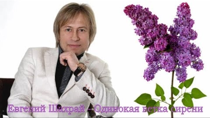 Евгений шахрай фото сейчас Евгений шахрай фото сейчас