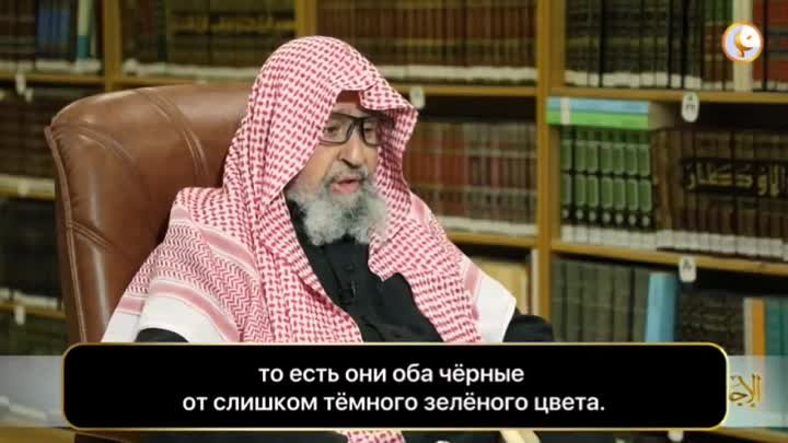 Каков смысл слов Аллаха (аята) в суре ар-Рахман: 64. "Они оба — ...