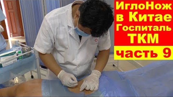 Иглонож в китае фото Иглонож в китае фото