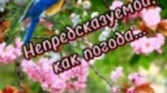 С праздником 8 Марта!                  mp4