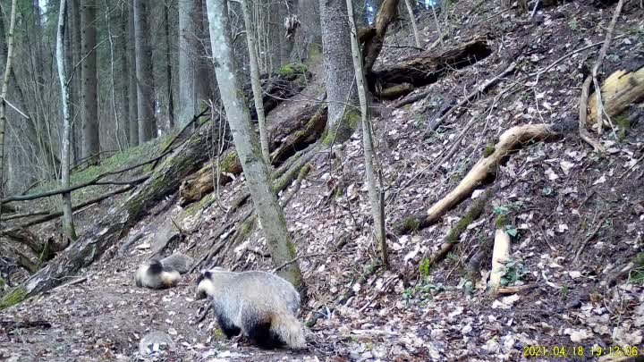 Видео от Национальный парк «Угра»