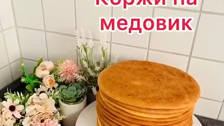 Коржи на МЕДОВИК