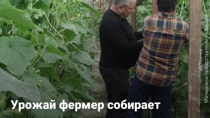 Аграрии России набирают обороты