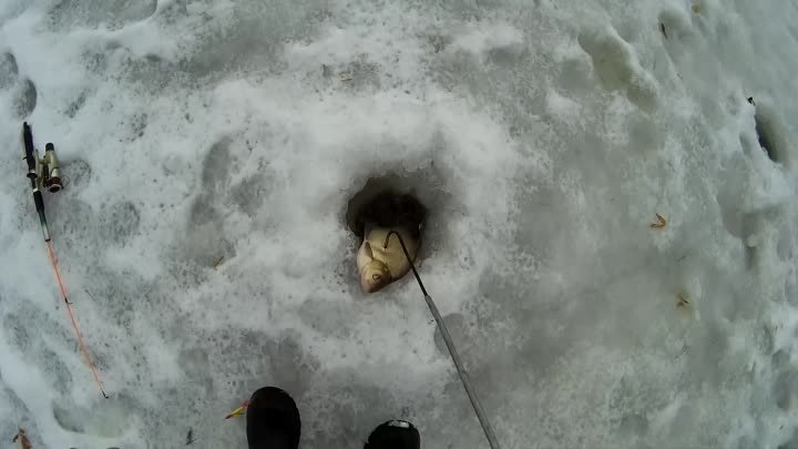 Зимняя рыбалка на Исети.28-29.11.16.