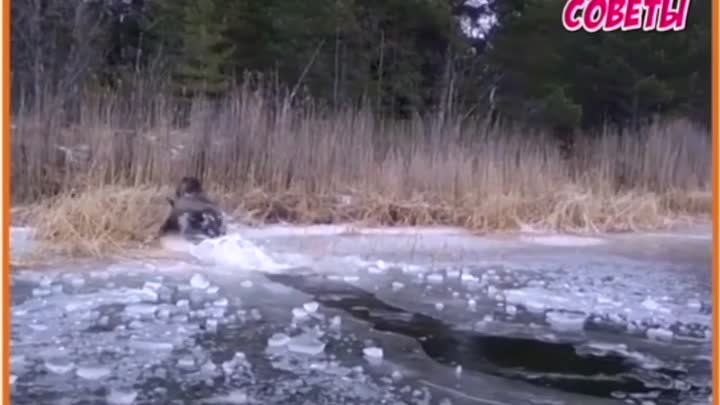 Женщина смело ломает лед у себя под ногами. Сколько же смелости в эт ...