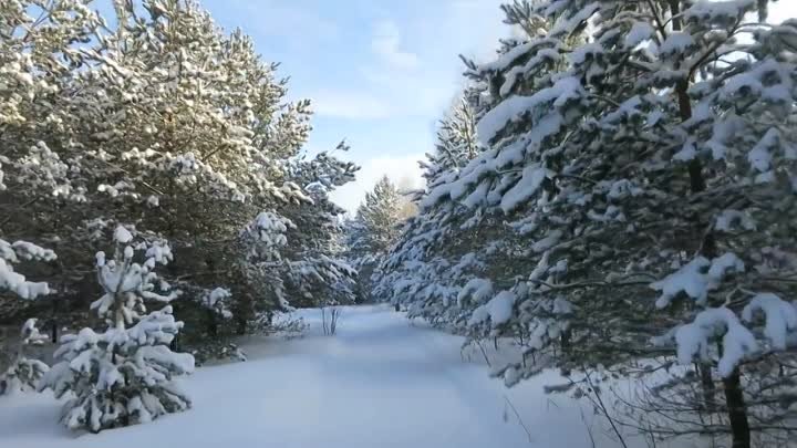 Порт Весьегонск- лыжная трасса. Как в сказке -Морозко-!