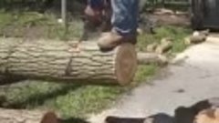 Наломал дров