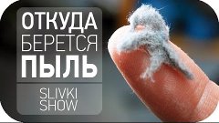 Откуда берется пыль? [SLIVKI SHOW]