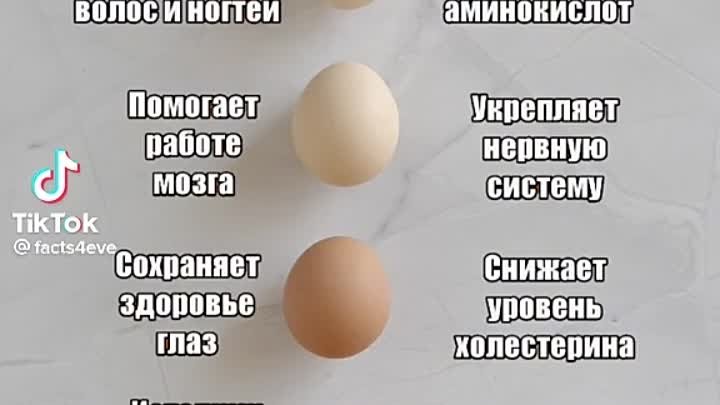 Про яйцо