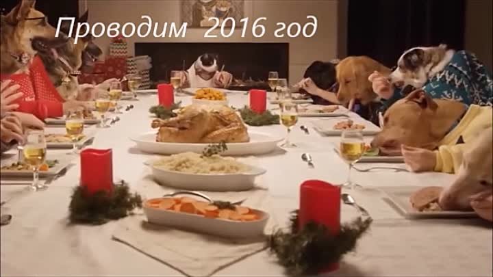 2016г