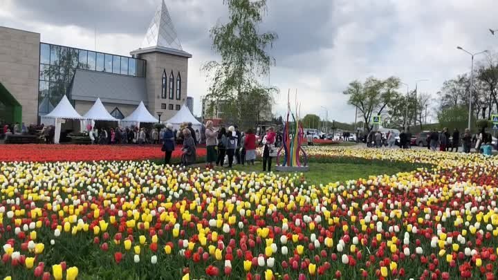 Белгородская область: было-стало