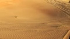 Сафари по пустыне Дубая, 2017