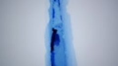 Дрон заснял огромную трещину во льду Антарктиды