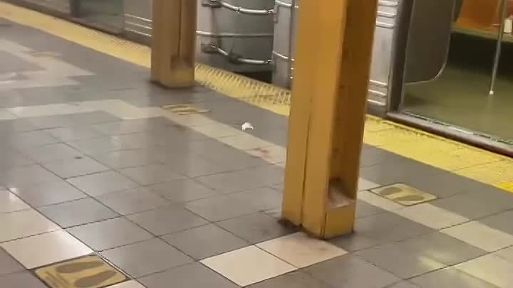 В Нью-Йоркском метро в Бруклине 