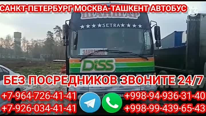 автобус МОСКВА санкт-петербург Ташкент